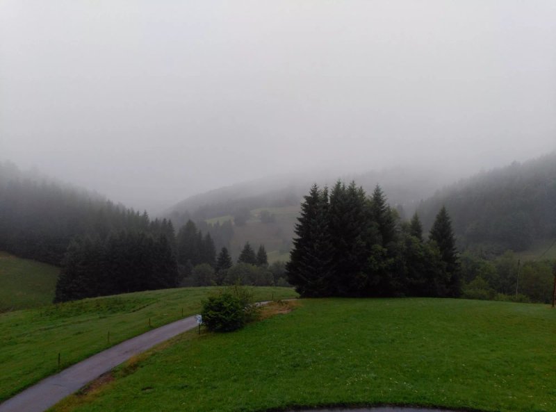 Gasthof Wehrhalder Hof