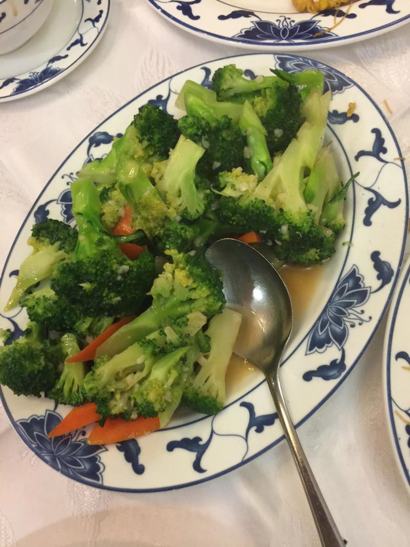 Novi Shanghai