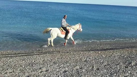 Horse Riding To The Beach