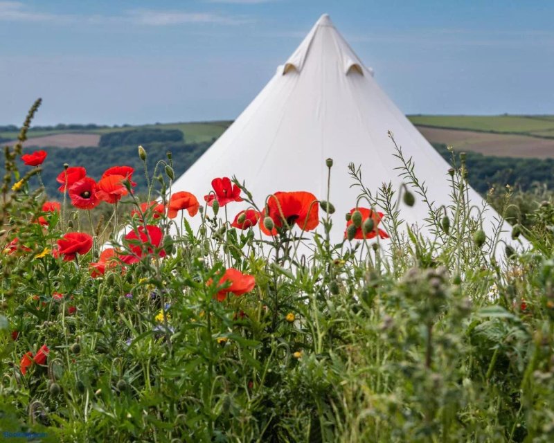 The Sea Forts Cornwall, Wild Costal Camping