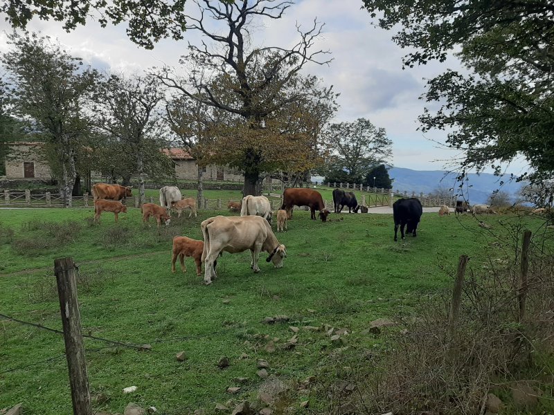 Il Canalotto