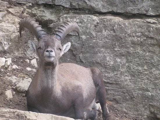Parc zoologique Bienne