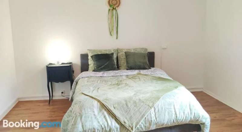 Belle Chambre Dans Appartement Partagé - Pamiers