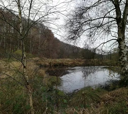 Gieselautal