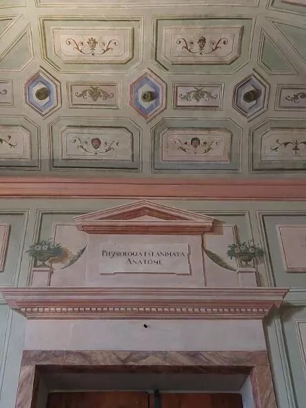 Teatro anatomico dell'Ospedale del Ceppo