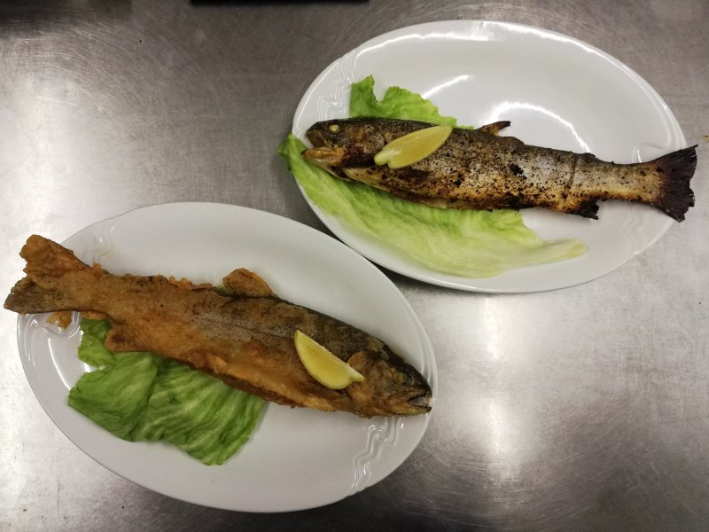 Master FISH
