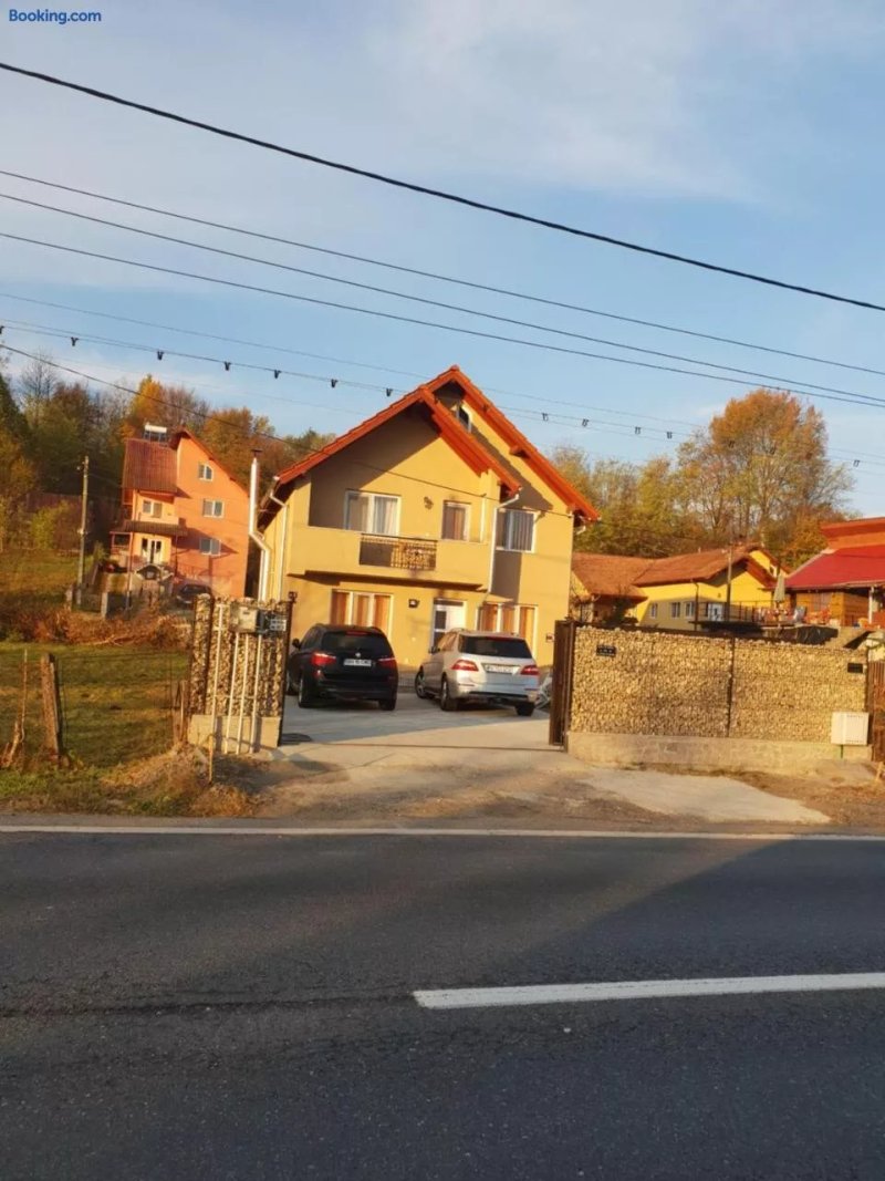 Steluta