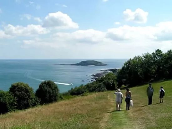 Looe Wooldown