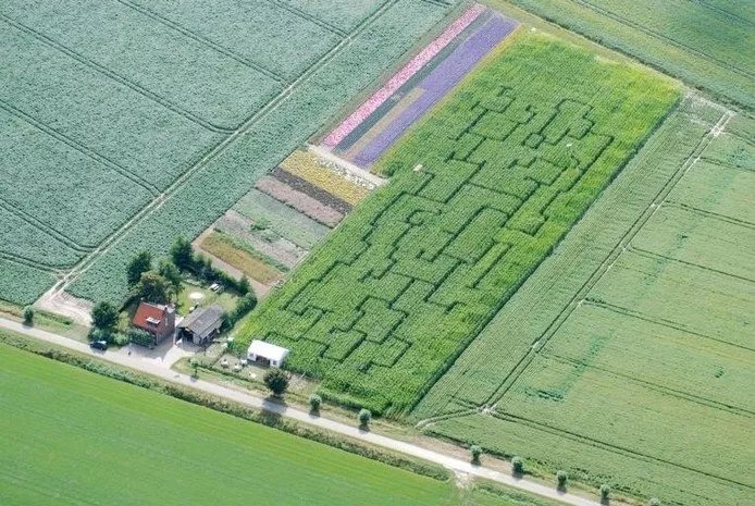 Maisdoolhof De Zuidmoer