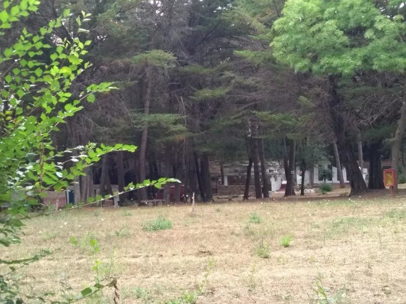 Collina 1