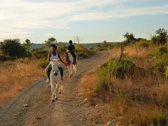 Horse Aventure