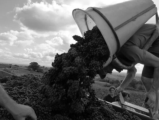 Domaine de la Creuze Noire