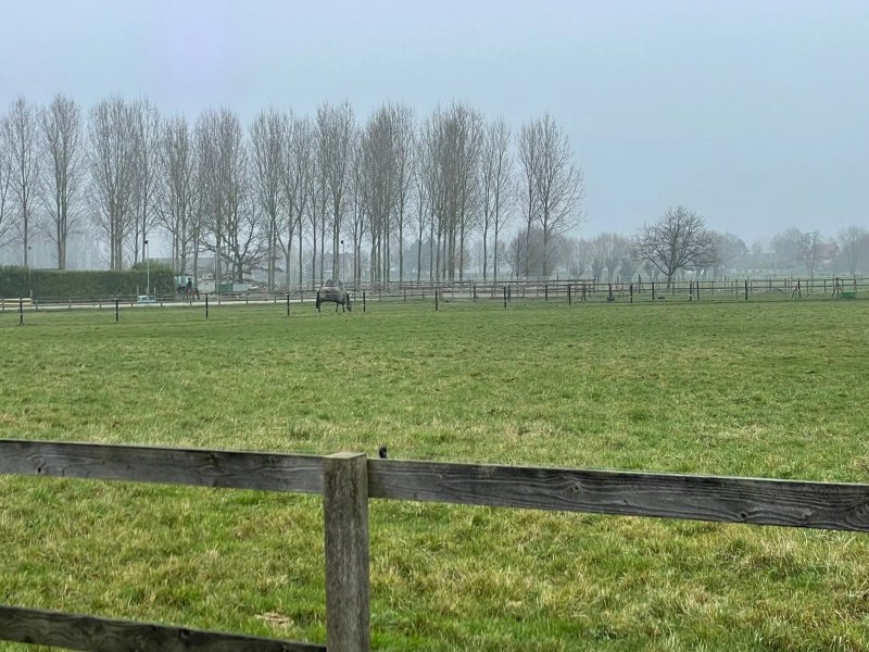 Hof ter Dreef
