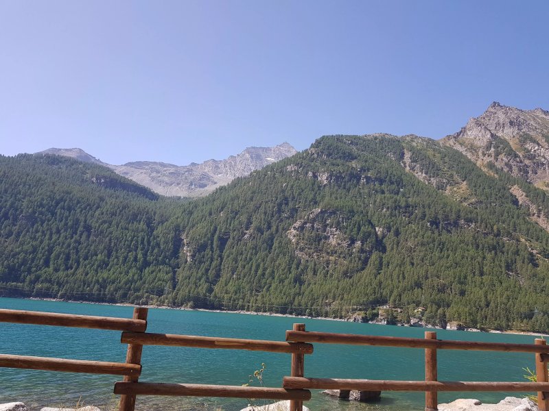 Stella D'italia