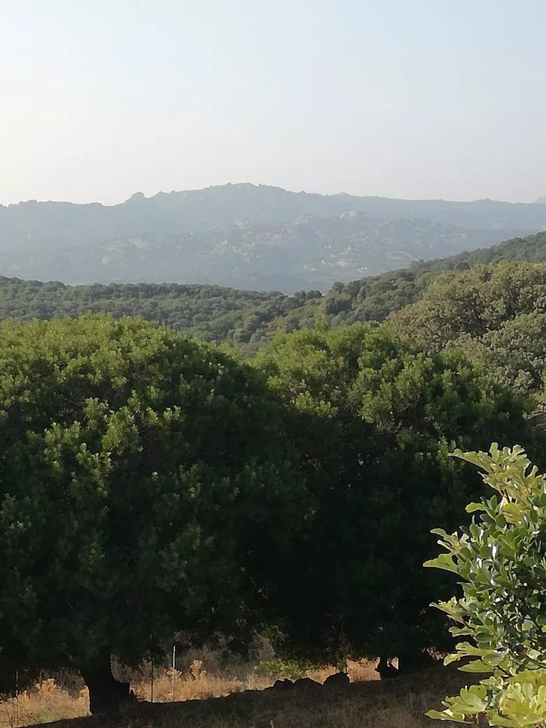 Agriturismo Canu