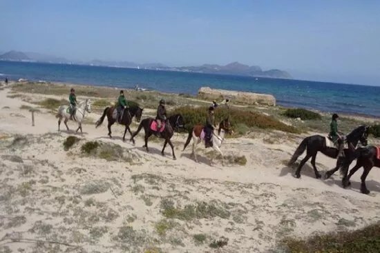 Xperience by Horse