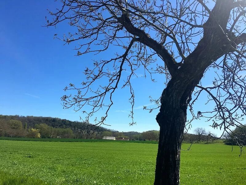 Ideal holiday cottage in The Dordogne on edge of pretty hamlet. Private pool.