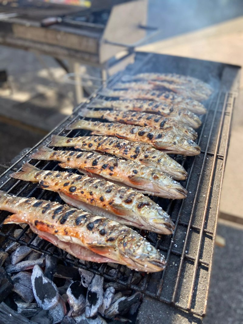 Fischerei Trawoger - Dorfner
