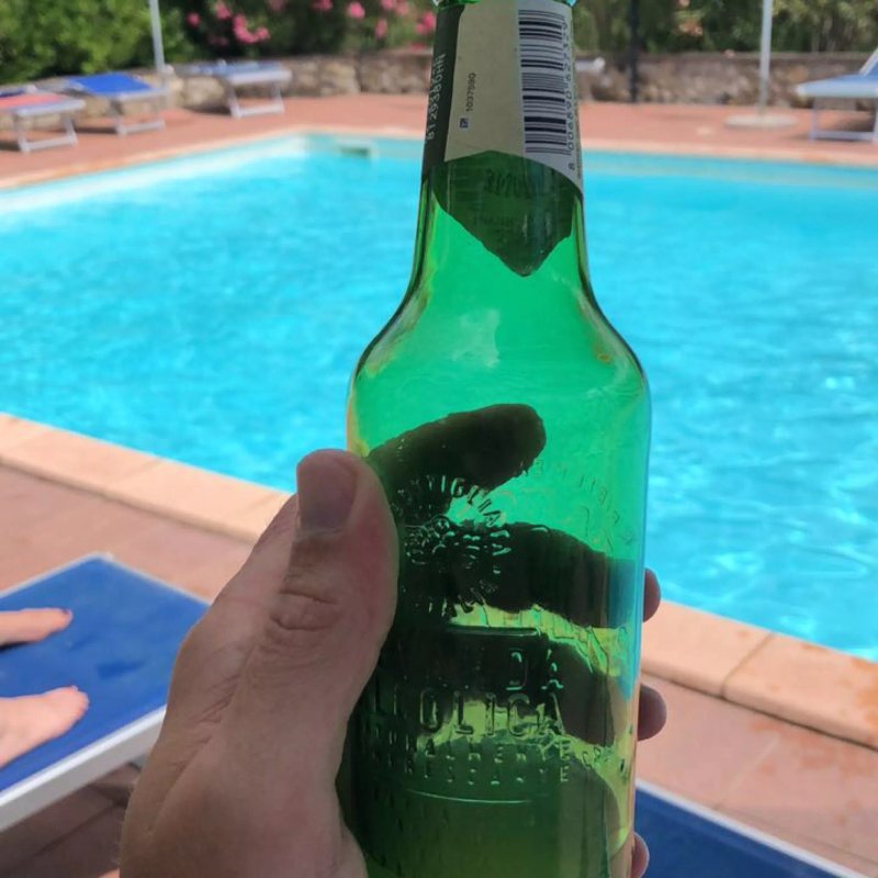 Il Canneto Di Pomaia