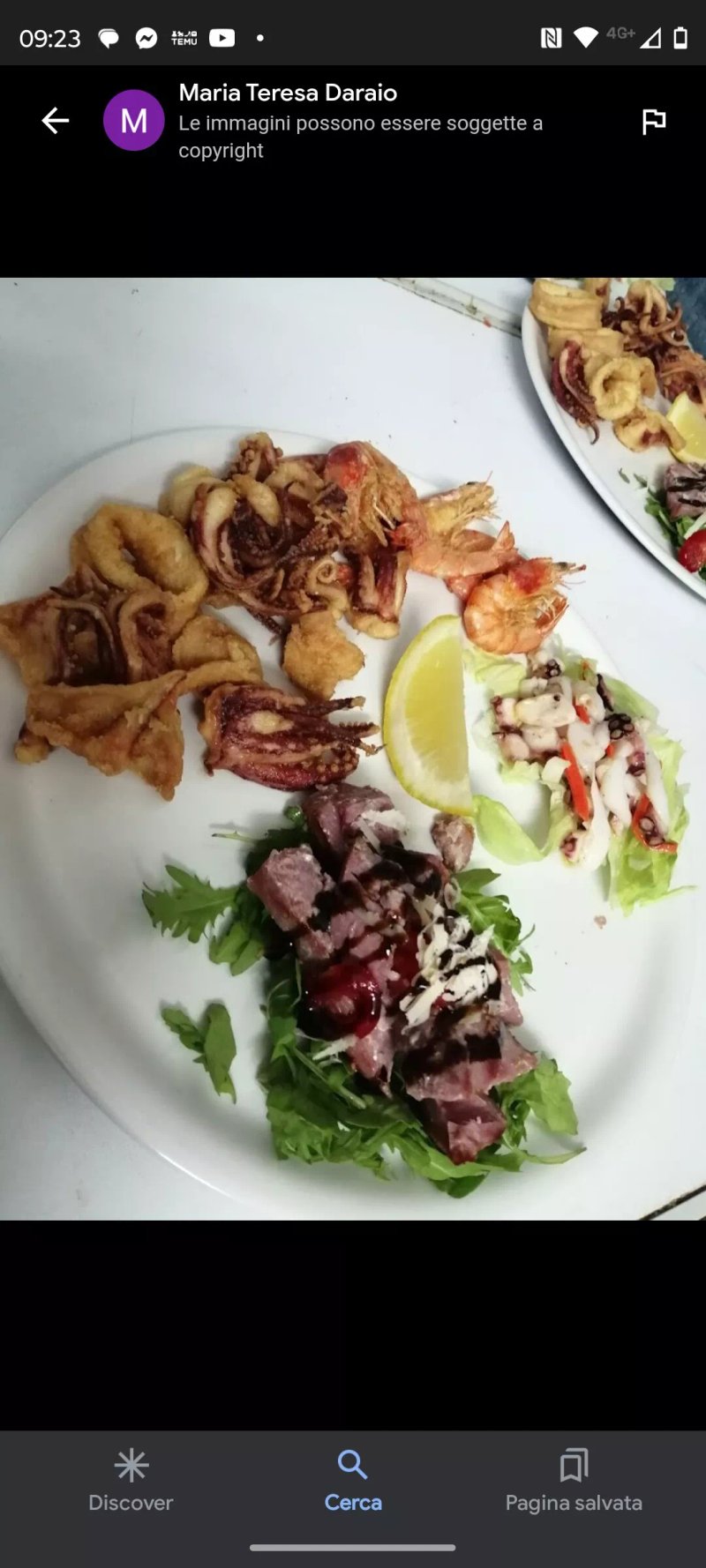 BAR Ristorante IL Gabbiano