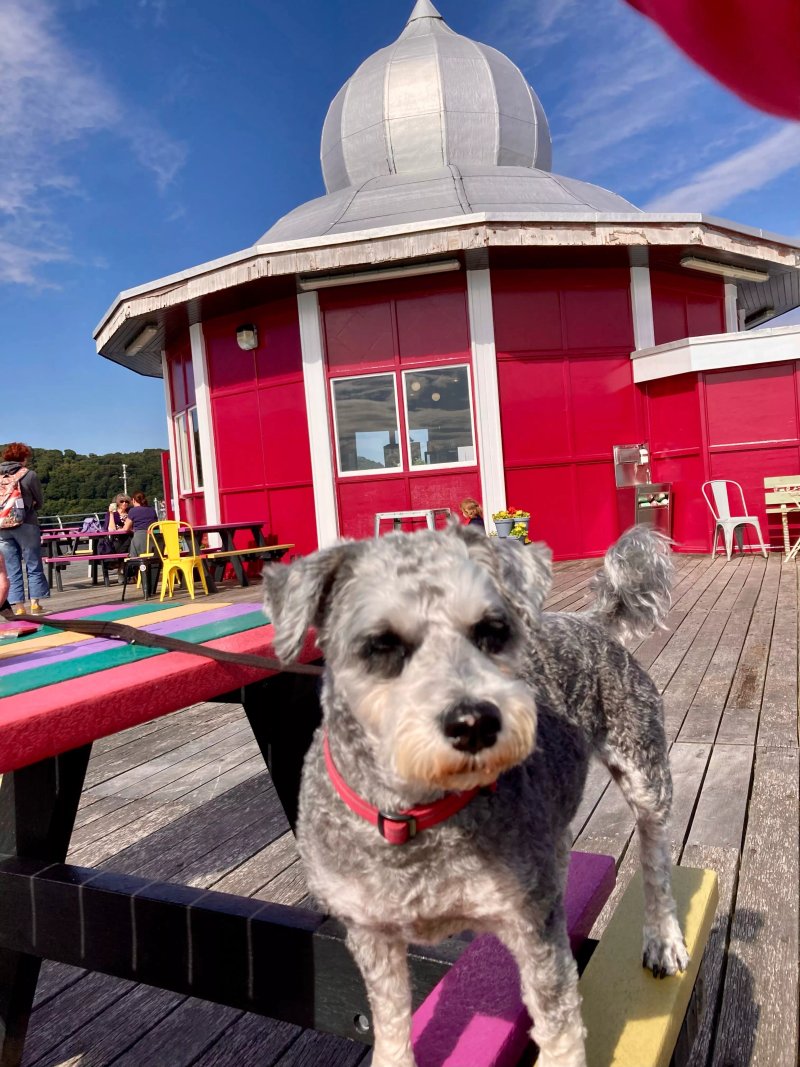 Pier Pavillion Tea Room