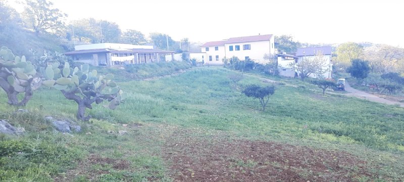 Agriturismo Montesalerno