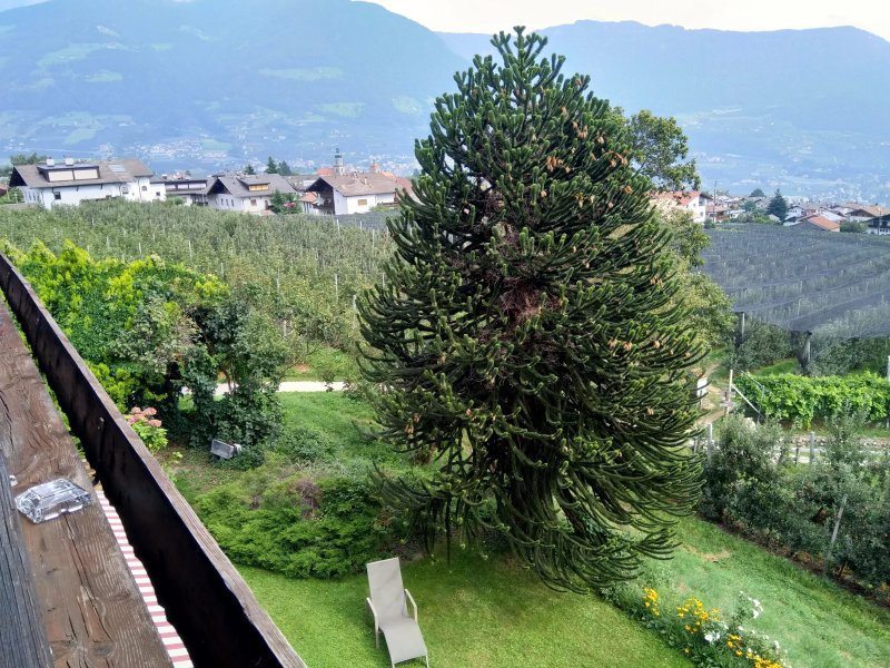 Pensione Lutzhof
