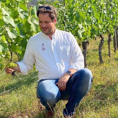 GOWINEING