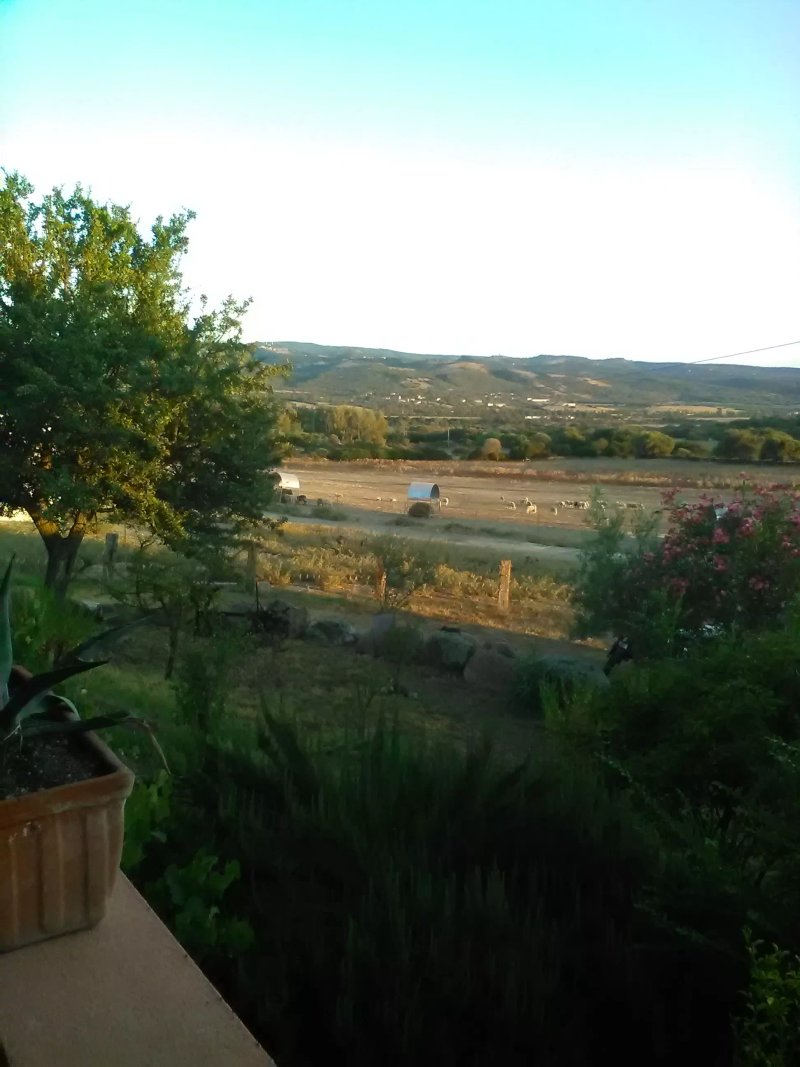 Agriturismo Lu Palu