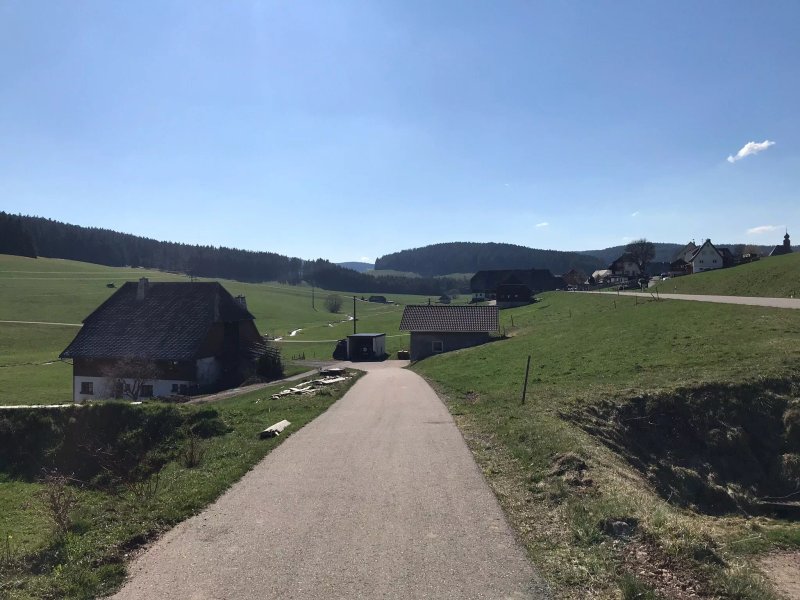Wendelhof