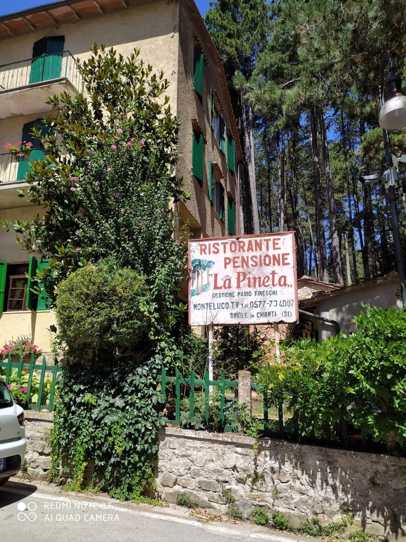 Ristorante Pensione La Pineta
