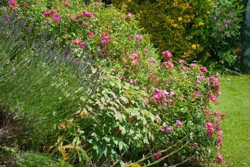 Morgny: House with walled garden and above ground pool heated from May to