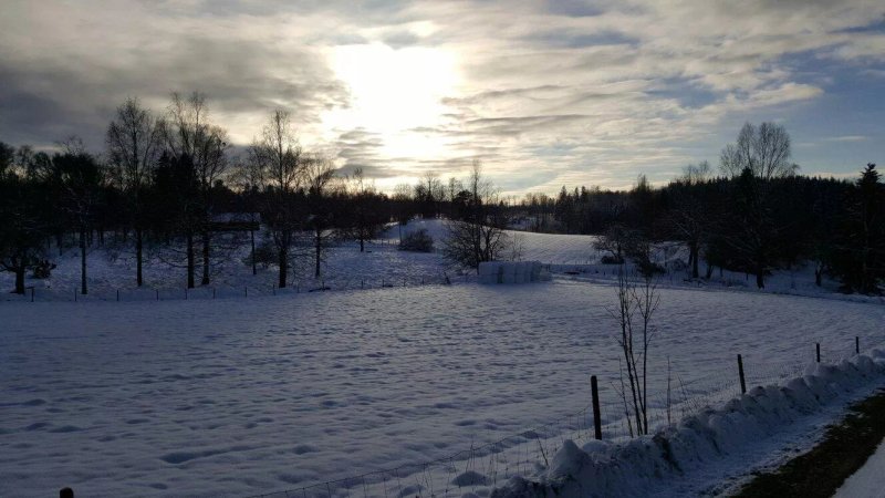 Langesater B&B