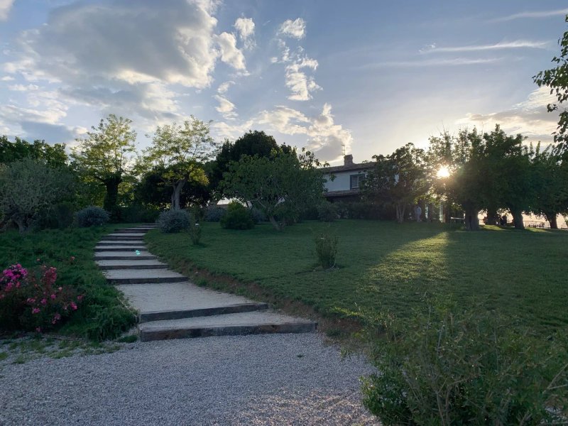 La Casa del Gelso