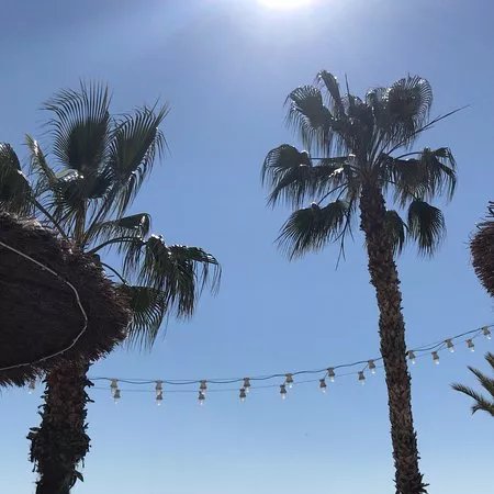 Tiki Town Beach Club