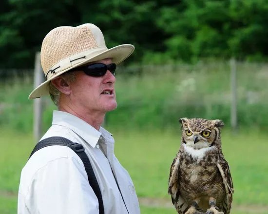 North East Falconry Centre
