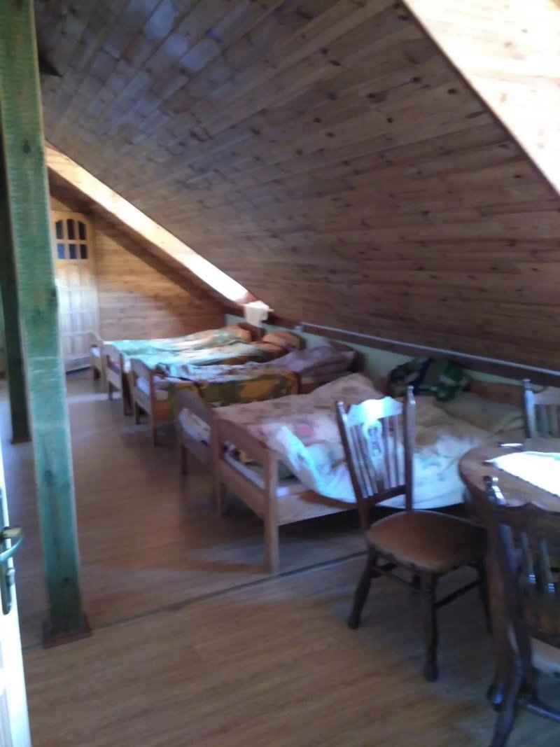 Stadnina koni Tarka