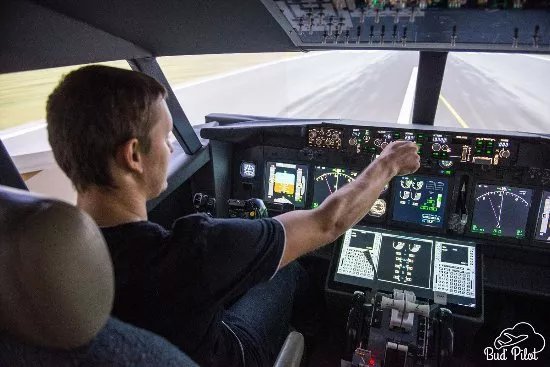 Bud Pilot