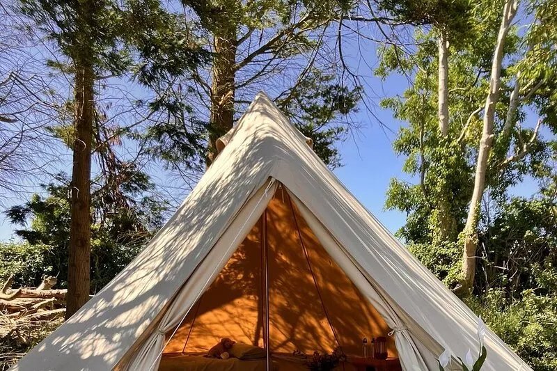 Ballydorn Stay Shepherds Hut with a view