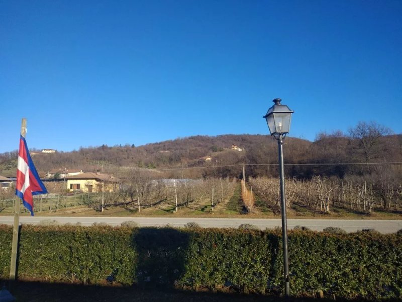 Nido di Bacco