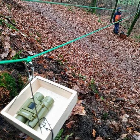 Alles Im Grunen Bereich - Waldfuhrungen