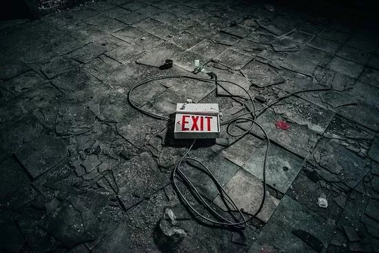 Wildlife Escape Room