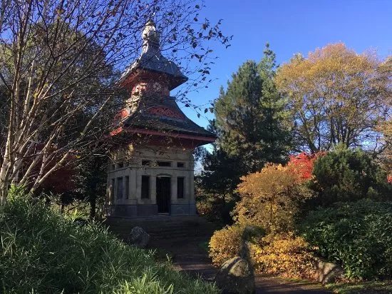 Alexandra Park