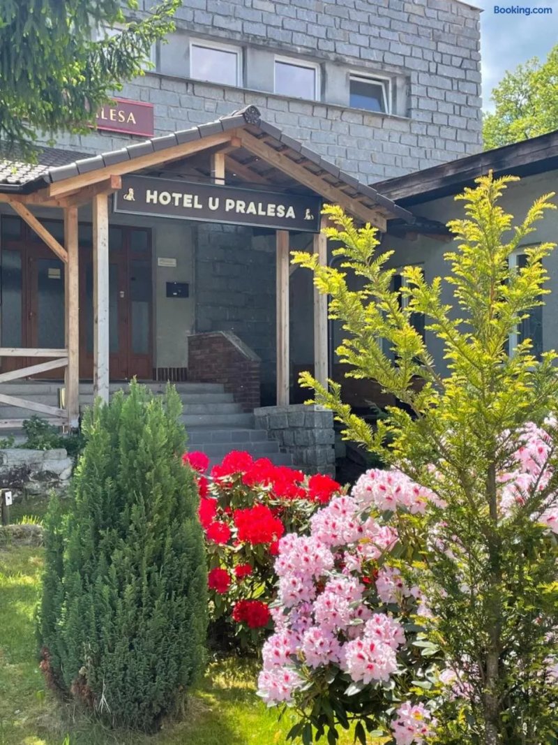 Hotel U Pralesa