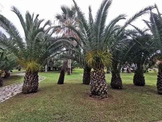 Parque de las Palmeras