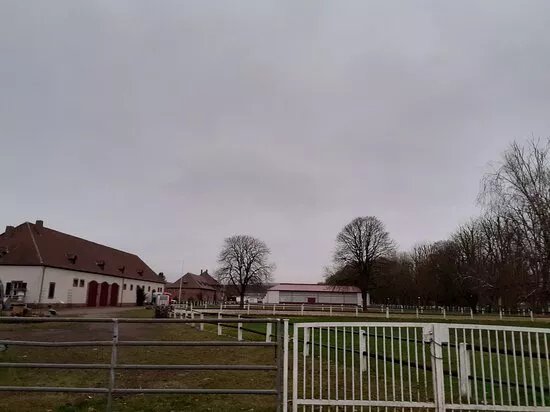 Landgestut Zweibrucken