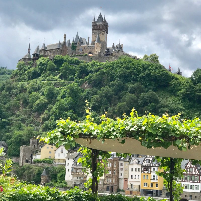 Weinbergs Loge