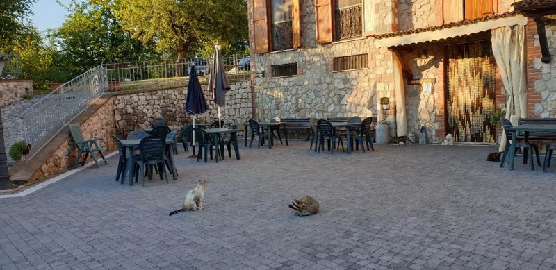 Agriturismo Il Castagneto