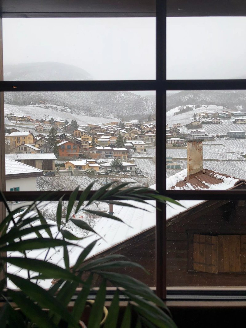 Chez les Dudu