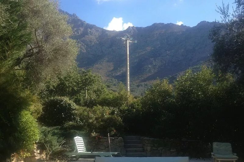 Villa with swimming pool in a property planted with century-old olive trees